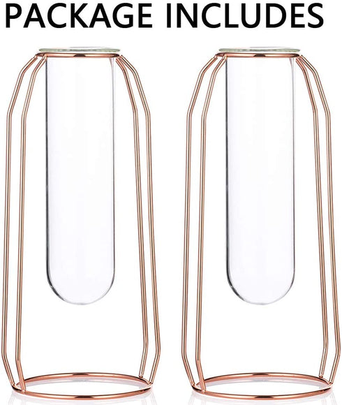 NUPTIO Vases Set of 2 Glass Vases with Metal Frame 23.5cm Height, Modern Rose Gold Frame Cylinder Clear Vase Planter Terrariums, Flower Holder Decorations for Wedding Living Room, Office, Party