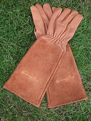 Rose Pruning Gloves for Men and Women - Thorn Proof Goatskin Leather Gardening Gloves with Gauntlet (Medium, Brown)