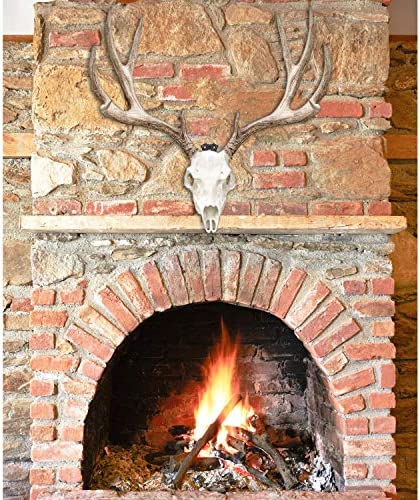 European Mount Skull Hanger - Display Your Deer Skull Mount with Pride, Uniquely Designed European Deer Mount Bracket, We Created Our Skull Hooks to be Noticed, Feature Your Deer Skull