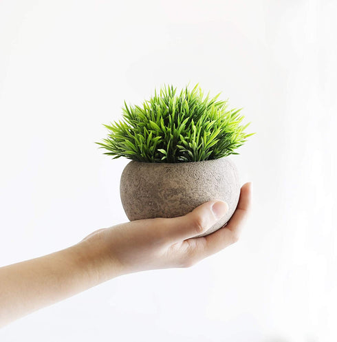 THE BLOOM TIMES 2 Pcs Fake Plants for Bathroom/Home Office Decor, Small Artificial Faux Greenery for House Decorations (Potted Plants)