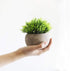 THE BLOOM TIMES 2 Pcs Fake Plants for Bathroom/Home Office Decor, Small Artificial Faux Greenery for House Decorations (Potted Plants)