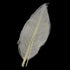 SPDD 100pcs Natural Magnolia Skeleton Leaf,Magnolia Leaf Dried Leaves Samples for Card Scrapbook Embossing DIY Candles Craft Gift