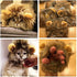 Lion Mane Costume for Cat (Cat) - Halloween Special