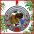 In Loving Memory Pet Ornament - Dog Memorial Christmas Photo Ornament - Furever in My Heart - Red Hearts with Angel Wings & Paw Prints - Cat Sympathy Gifts - Loss of a Pet - Gift/Storage Bag Included