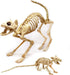 Skeleton Cat and Rat Skeleton for Halloween Decorations, Skeleton Animal Yard Decor and Reaper Bones Animals