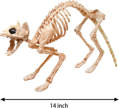 Skeleton Cat and Rat Skeleton for Halloween Decorations, Skeleton Animal Yard Decor and Reaper Bones Animals
