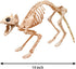 Skeleton Cat and Rat Skeleton for Halloween Decorations, Skeleton Animal Yard Decor and Reaper Bones Animals