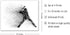 Baseball Wall Art Prints - Particle Silhouette - Set of 4 (8x10) Poster Photos - Bedroom - Man Cave Decor