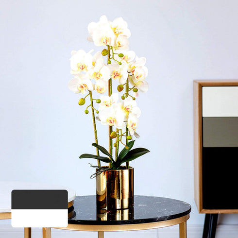 FagusHome 31 inch Artificial Phalaenopsis Flowers 4 Pcs with 2 Bundles Leaves Artificial Orchid Flowers Stem Plants for Home Indoor Décor