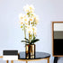 FagusHome 31 inch Artificial Phalaenopsis Flowers 4 Pcs with 2 Bundles Leaves Artificial Orchid Flowers Stem Plants for Home Indoor Décor