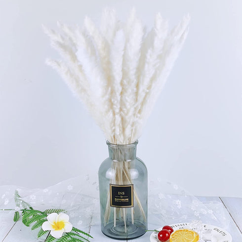 Total 75Pcs Natural Dried Pampas Grass Decor 17Inch,15Pcs White Pampas,15Pcs Brown Pampas,15Pcs Fluffy Bunny Tails Pampas Grass,30Pcs Reed Grass, for Flower Arrangements Boho Wedding Home Decor