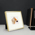 Golden State Art, Gold 8x8 Picture Frame - Displays Photo 4x4 with Mat or 8x8 inch Without Mat - Shatter-Resistant Glass Aluminum Photo Frame for Wall or Tabletop Display (2 Pack)