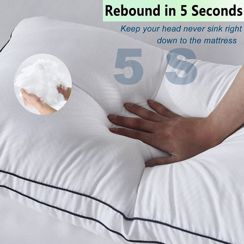 Gehannah Bed Pillows for Sleeping?2 Pack?, Luxury Plush Soft Pillow with Home and Hotel, Breathable Microfiber Cover Skin-Friendly Pillows for Side Back Sleepers (Queen)