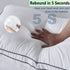 Gehannah Bed Pillows for Sleeping?2 Pack?, Luxury Plush Soft Pillow with Home and Hotel, Breathable Microfiber Cover Skin-Friendly Pillows for Side Back Sleepers (Queen)