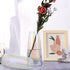 Lyellfe 2 Pack Modern Glass Vase for Flower, Clear Decorative Iridescent Vase, 8.6" Tall Irised Ins Handicraft Creative Table Vase for Centerpieces, Living Room, Home, Office, Gifts, Wedding