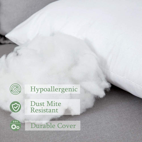 MIULEE Throw Pillow Insert Hypoallergenic Premium Pillow Stuffer Sham Square for Decorative Cushion Bed Couch Sofa 24x24 Inch