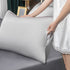 Mulberry Silk Pillowcase for Hair and Skin,Cooling Silk Pillow Case with Hidden Zipper,Allergen Proof Dual Sides Soft Breathable Smooth Both Sided Silk Pillow Cover.(20"x 26",1 Pcs,Light Gray)