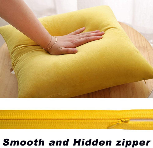 RBSC Home Pack of 2 Velvet Pillow Covers Decorative Square Pillowcase Soft Solid Cushion Case with Hidden Zipper for Sofa Bedroom 18 X 18 Inch
