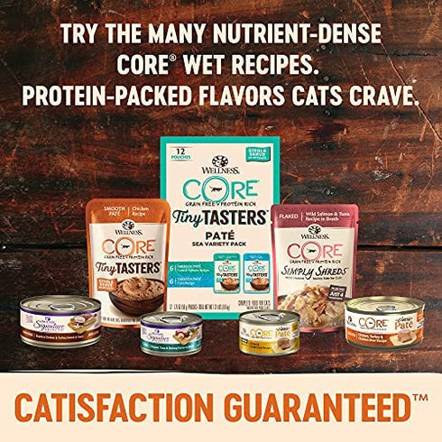 Wellness CORE Tiny Tasters Wet Cat Food, Complete & Balanced Natural Pet Food, Made with Real Meat, 1.75-Ounce Pouch, 12 Pack (Adult Cat, Flaked Tuna & Salmon)