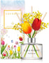 Cocod'or COCODOR Tulip & Preserved Real Flower Reed Diffuser/Floral Bouquet / 6.7oz(200ml) / 1 Pack/Reed Diffuser Set, Oil Diffuser & Reed Diffuser Sticks, Home Decor & Office