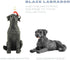 Boulevard East Concepts Labrador Dog Collectible Figurine Statue (Black)