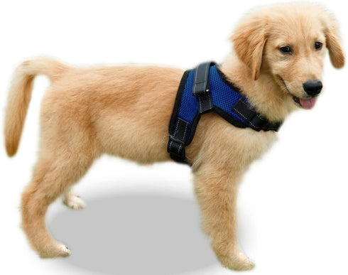 Copatchy No Pull Reflective Adjustable Dog Harness with Handle (X-Small, Blue)