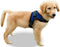 Copatchy No Pull Reflective Adjustable Dog Harness with Handle (X-Small, Blue)