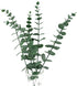 Tinsow 5 Pcs Real Touch Leaf Artificial Eucalyptus Stem Faux Eucalyptuses Wedding Bouquet Centerpiece Home Decor (Green)