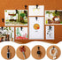 50 Pieces Push Pin Hooks Plastic Heads Pin Tacks Wall Thumb Tacks Hanging Nails Decorative Push Pins Hooks for Cork Bulletin Board Map Photos Calendar, Home Office School Supplies (Black)
