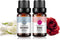 Rose Jasmine Essential Oil Set Aromatherapy 100% Pure Organic Oils for Diffuser, Massage, Skin- 2 x 10ml¡