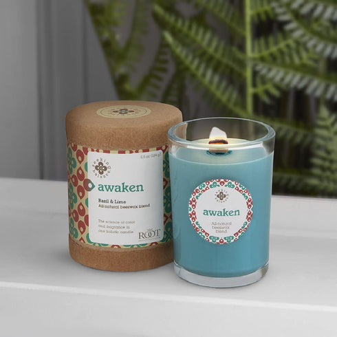 Root Candles Seeking Balance Small Spa Candle, 6.5-Ounce, Awaken: Basil & Lime