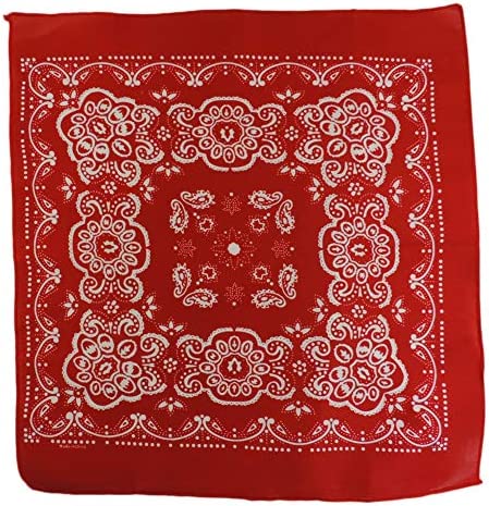 Blue Striped Child Engineer Hat, Red & White Paisley Bandana & Whistle Set