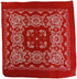 Blue Striped Child Engineer Hat, Red & White Paisley Bandana & Whistle Set