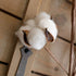 idyllic Pack of 6 Cotton Stems - 31 Inches Tall - 12 Cotton Bolls Per Stem Real Elastic Cotton Stalk Rustic Floral for Home Decor Wedding Centerpiece Farmhouse Style