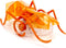 HEXBUG Micro Ant - Electronic Autonomous Robotic Pet - High Speed Robot - Toy for Kids Ages 8 and Up (Random Color)