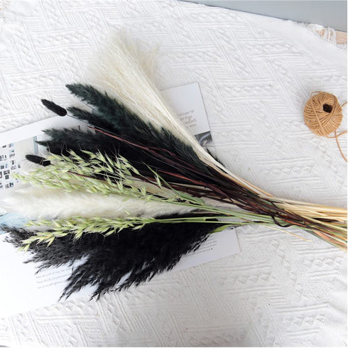 Black Dried Pampas Grass White Pampas Grass Plants D©cor Boho Artificial Pampas Grass Branches for Wedding Flower Arrangements Home D©cor
