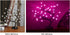 Lightshare 16Inch 36LED Cherry Blossom Bonsai Light, Pink Light, Battery Powered and Plug-in Adapter (Included), Built-in Timer, Décor for Home,Festival,Party,Christmas,Night Light
