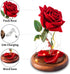 Beauty and The Beast Rose ,Red Silk Rose with Fallen Petals in Glass Dome on Wooden Base,Graduation Gift,Birthday Gifts?Valentine's Day ,Anniversary ,Christmas