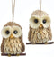 Kurt Adler C7852 4" Wood and Sisal Owl Ornaments 2 Assorted Pack
