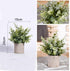 HC STAR Artificial Plant Potted Mini Fake Plant Decorative Lifelike Flower Green Plants