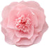 13 Pieces 3D Paper Flowers Pink White with Trees 10" 8" 6" 4" Craft DIY Large Wall Decorations Pom Pom Giant Backdrop Photo Booth Baby Shower Decor Centerpiece Wedding Birthday Party Craft Art