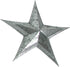 Zeckos Indoor/Outdoor Tooled Edge 12 inch Galvanized Finish Metal Wall Mounted Star