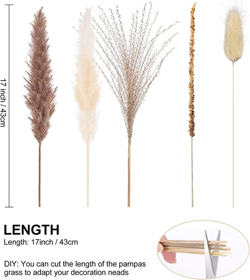 90 Pcs 17" Set | Natural Dried Pampas Grass, Natural Pampas Dried Flowers, Natural Rabbit Tail Grass, Perfect for Home Decor, Boho Decor and Wedding Flower Arrangements