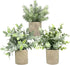 Hasken 3 Pack Mini Potted Artificial Potted Plants Mini Fake Eucalyptus Greenery in Pots for Home Decor Office Desk Shower Room Decoration