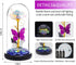 Gifts for Women Mom Wife Grandma Her Girlfriend Birthday Anniversary Wedding Present Unique Gifts for Sister Friend Butterfly Galaxy Forever Glass Rose Flower Light