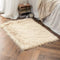 MIULEE Luxury Super Soft Fluffy Area Rug Faux Fur Rectangle Rug Decorative Plush Shaggy Carpet for Bedside Sofa Floor Nursery 2 x 3 Feet,Beige