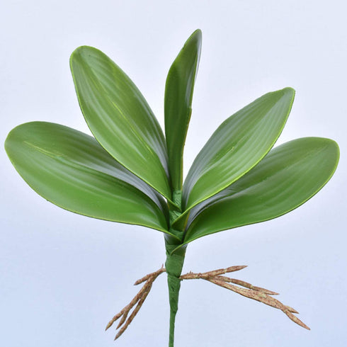 FagusHome 32" Artificial Phalaenopsis Flowers 4 Pcs with 2 Bundles Leaves Artificial Orchid Flowers Stem Plants for Home Décor (White)