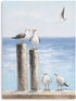 B BLINGBLING Seagull Relaxing On The Pier Painting Picture Sea Birds Beach Themed Wall Art Poster Calming Coastal Mural Print for Bathroom Framed and Easy to Hang (12"x16"x1 Panel)