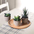 OUNONA 3pcs Faux Succulents/Artificial Cactus/Simulation Cacti Potted Plants Home Bonsai Decor Garden Greenery