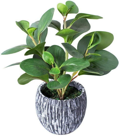 Mini Potted Artificial Plants Real Looking Plastic Fiddle Leaf Fig Plant with Rustic Black Cement Planter for House Office Desk Decor